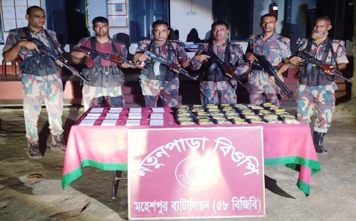 জীবননগরে ভারতীয় কীটনাশক-ওষুধ উদ্ধার