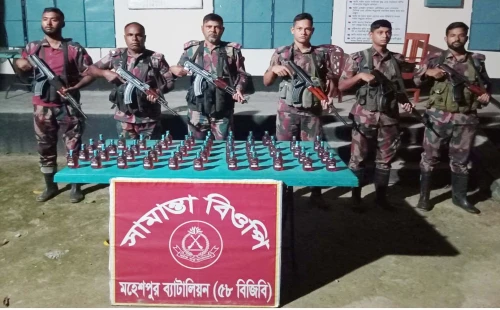 জীবননগর ও মহেশপুর সীমান্তে বিজিবি অভিযান