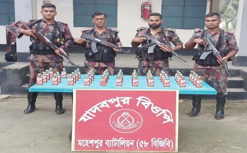 মহেশপুরে ৪৩ বোতল ভারতীয় মদ উদ্ধার