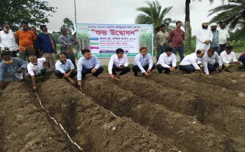 কেরু অ্যান্ড কোম্পানিতে ২০২৬-২০২৭ মৌসুমে আখ রোপণ কার্যক্রমের উদ্বোধন