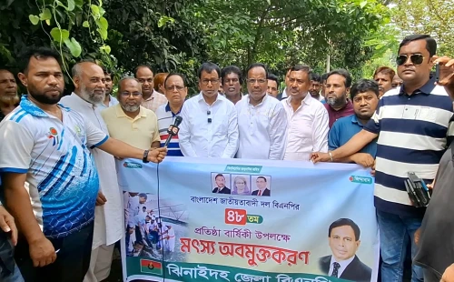 নবগঙ্গা নদীতে মাছের পোনা ছাড়লো বিএনপি