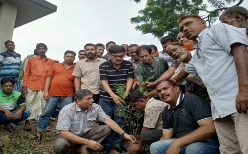 বিএনপির প্রতিষ্ঠাবার্ষিকী উপলক্ষে  মেহেরপুরে বৃক্ষরোপণ কর্মসূচি