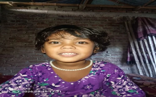 আলমডাঙ্গায় সাপের কামড়ে শিশুর মৃত্যু