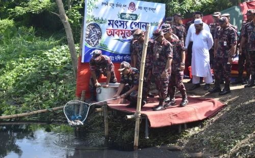 যশোরে ভৈরব নদীতে বিজিবির উদ্যোগে বিভিন্ন প্রজাতির মাছের পোনা অবমুক্ত