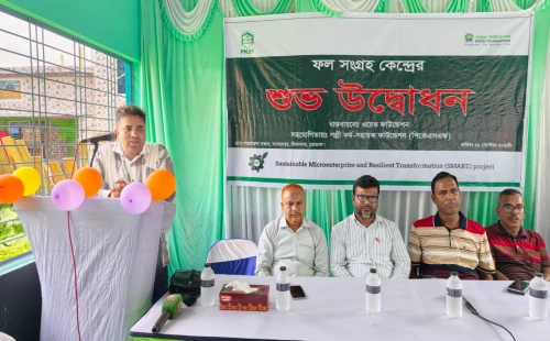জীবননগরের পেয়ারাতলায় ফল সংগ্রহ কেন্দ্রের উদ্বোধন