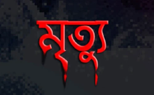 আলমডাঙ্গায় সড়ক দুর্ঘটনায় আহত চাঁদনীর মৃত্যু