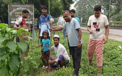 হাটকালুগঞ্জে ‘মানবতার যুব সমাজ’-এর বৃক্ষরোপণ কর্মসূচি