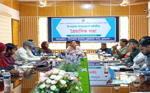 চুয়াডাঙ্গা ও জীবননগরে ডেঙ্গু প্রতিরোধে মতবিনিময় সভা