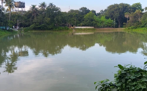 ঝিনাইদহে পানি উন্নয়ন বোর্ডের ১৩টি পুকুর বেদখল