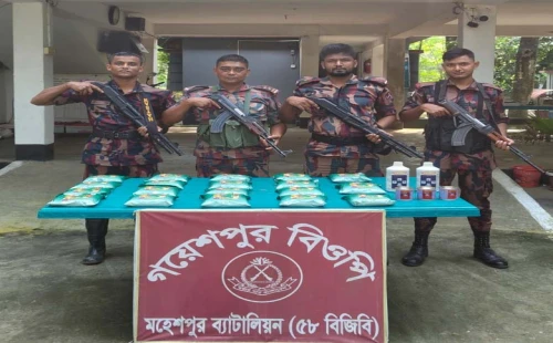 মাদকসহ আটক ১, ভারতীয় কীটনাশক উদ্ধার