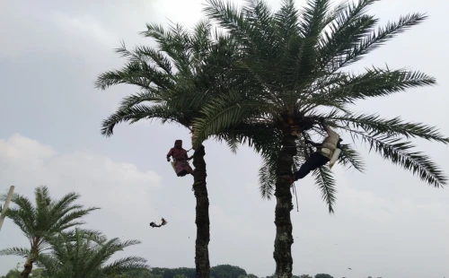 দামুড়হুদা উপজেলায় শীতের আগমনী বার্তা