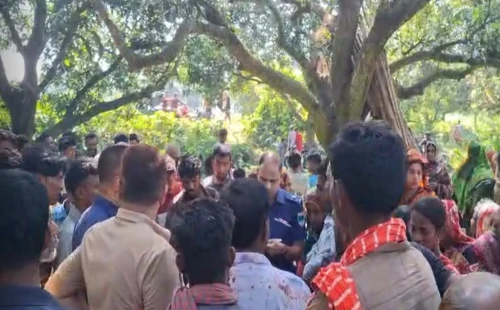 মুজিবনগরে আমবাগান থেকে গৃহবধূর ঝুলন্ত লাশ উদ্ধার