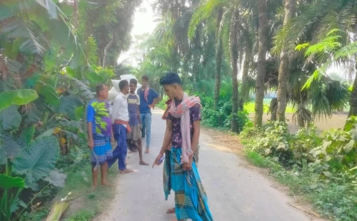 চুয়াডাঙ্গা সুবদিয়া-হোগলডাঙ্গা সড়কে কলাগাছ ফেলে