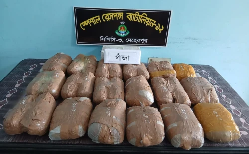 দামুড়হুদার জয়রামপুরে এসআরবির বিশেষ অভিযান
