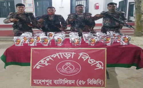 জীবননগর ও মহেশপুর সীমান্তে বিজিবির অভিযান