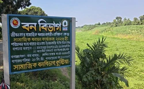 জীবননগরে সামাজিক বনায়নের ২ হাজার গাছ কেটে সাবাড়