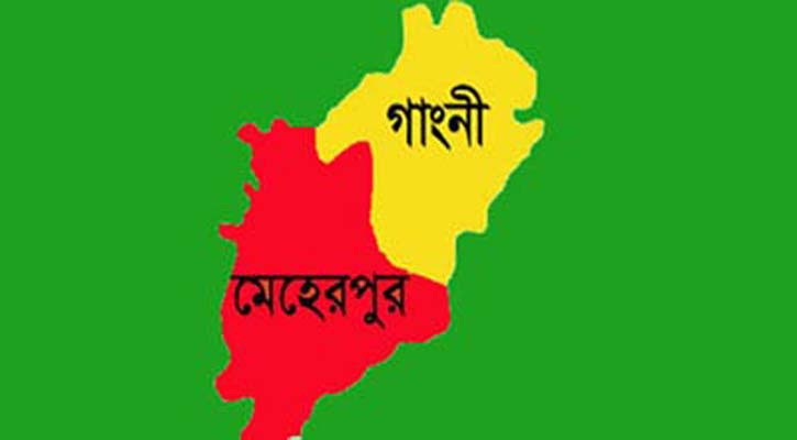 মেহেরপুরের গাংনীতে চিত্রাঙ্কন প্রতিযোগিতা অনুষ্ঠিত
