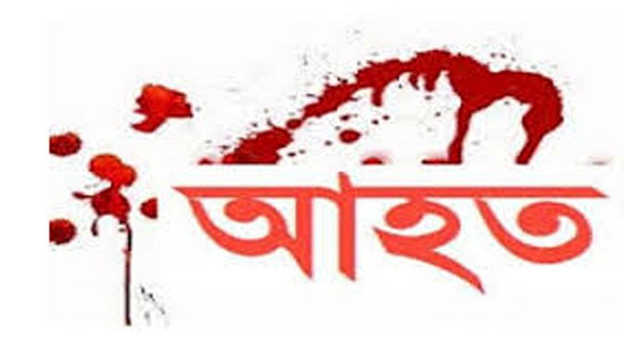 মহেশপুরে ধুর পাচারকারীদের হামলায় দুজন আহত