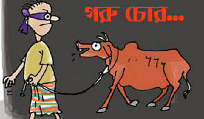 দামুড়হুদা হাতিভাঙ্গায় থেকে গরু চুরি!