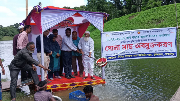 মুজিবনগরে সরস্বতী খাল ও ভৈরব নদে পোনা মাছ অবমুক্ত