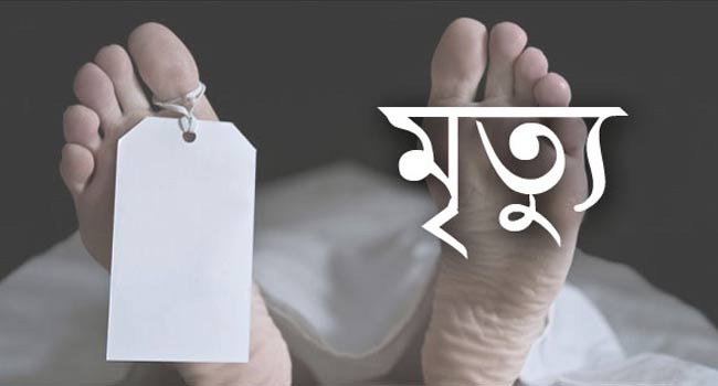 বউমার পিটুনি ঠেকাতে গিয়ে ছেলের বটির আঘাতে জখম মা