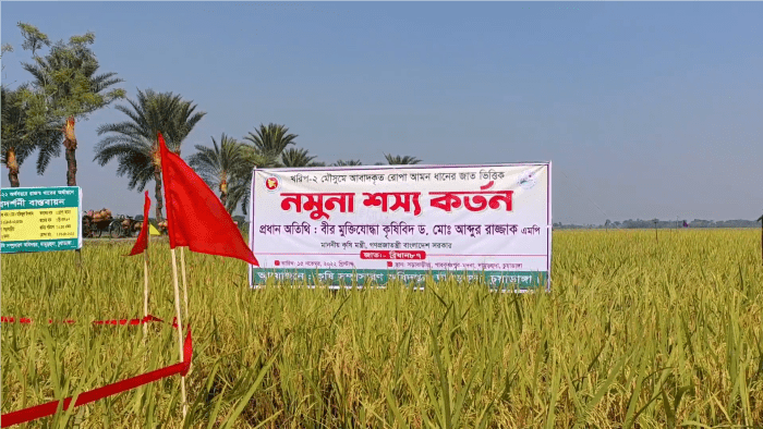 শস্য কর্তনের উদ্বোধন অনুষ্ঠানে কৃষিমন্ত্রী উপস্থিত না হওয়ায় কৃষকদের ক্ষোভ