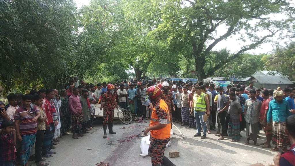 ট্রাকচাপায় প্রাণ গেল পাখিভ্যান চালকের