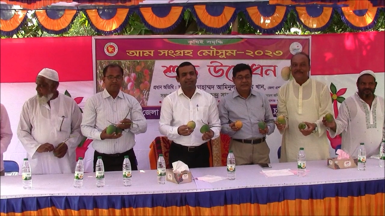 চুয়াডাঙ্গায় আম সংগ্রহ মৌসুমের উদ্বোধন করলেন ডিসি আমিনুল ইসলাম