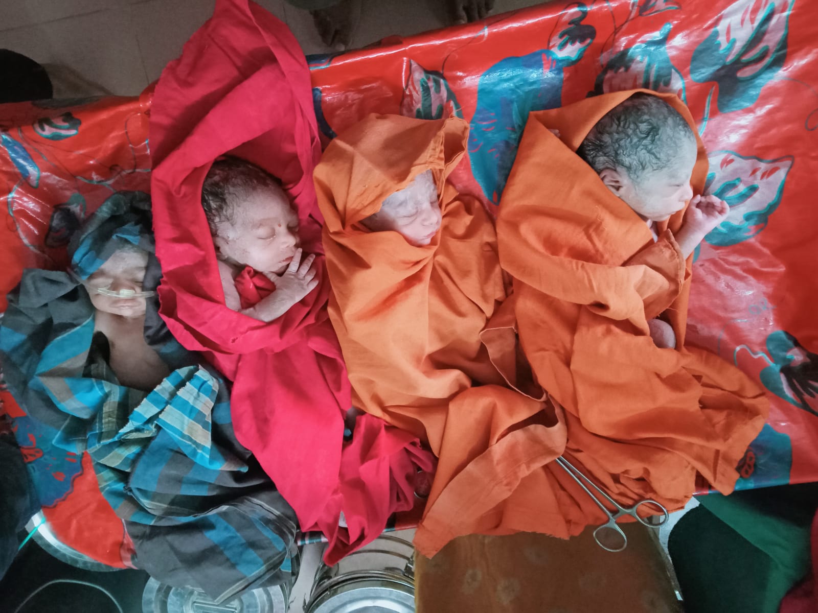 একসঙ্গে জন্ম নিলো চার কন্যা