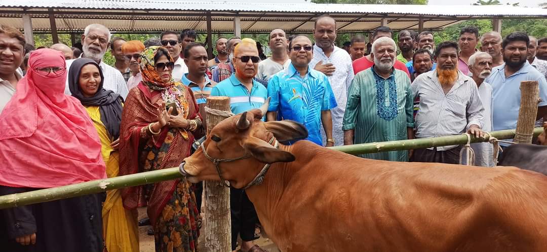 ঝিনাইদহ পৌরসভায় স্থায়ী পশুহাটের উদ্বোধন