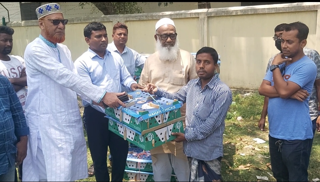 আলমডাঙ্গায় খামারীদের মধ্যে ব্রয়লার মুরগীর বাঁচ্চা বিতরণ