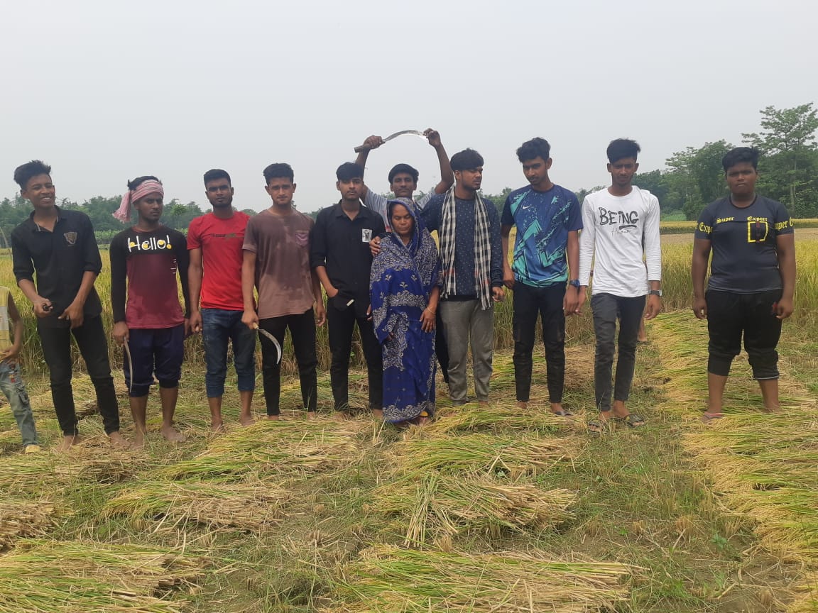 গাংনীতে বিধবা নারীর ধান কেটে ঘরে তুলে দিল ছাত্রলীগ