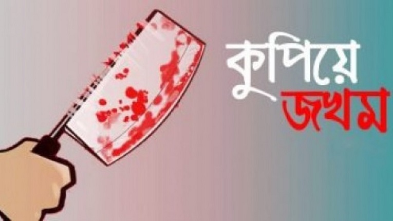 ফার্মেসি ব্যবসায়ীকে কুপিয়ে জখম, যুবক আটক