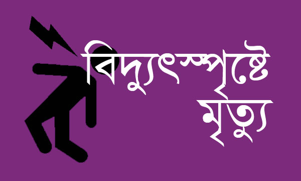 চুয়াডাঙ্গায় বিদ্যুৎস্পৃষ্টে ইলেকট্রিশিয়ানের মৃত্যু