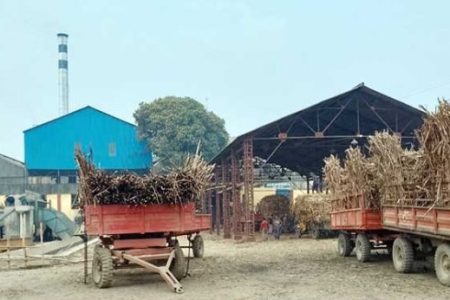 কেরুজ চিনিকলের ২০২৩-২৪ মাড়াই মৌসুমের স্লো-ফায়ারিং উদ্বোধন আজ