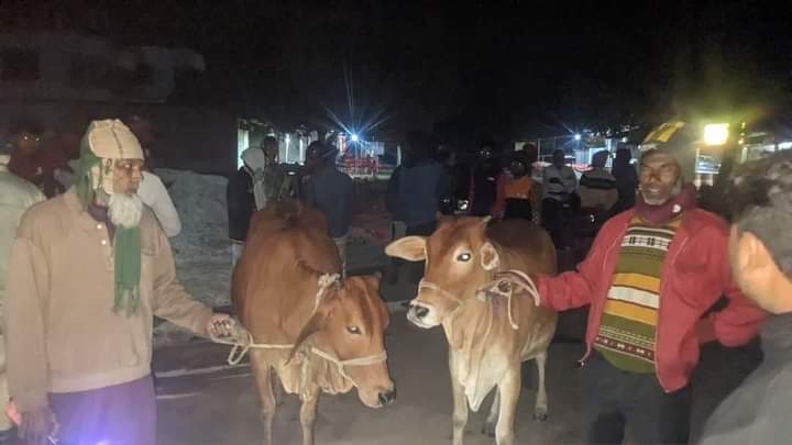কার্পাসডাঙ্গায় চুরির একদিন পর গরু ফেলে পালালো চোর