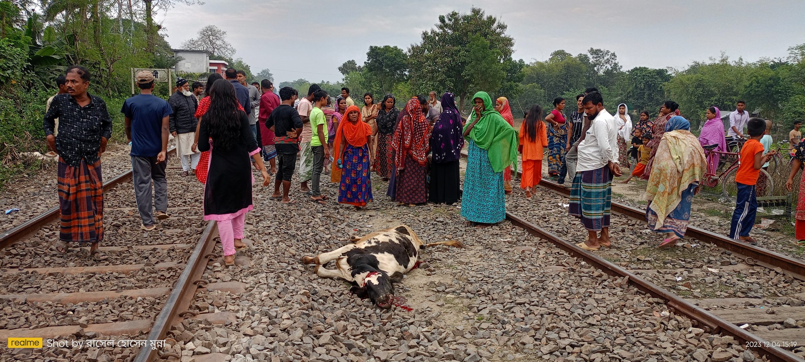 উথলীতে ট্রেনে কাটা পড়ে পাঁচ গরুর মৃত্যু