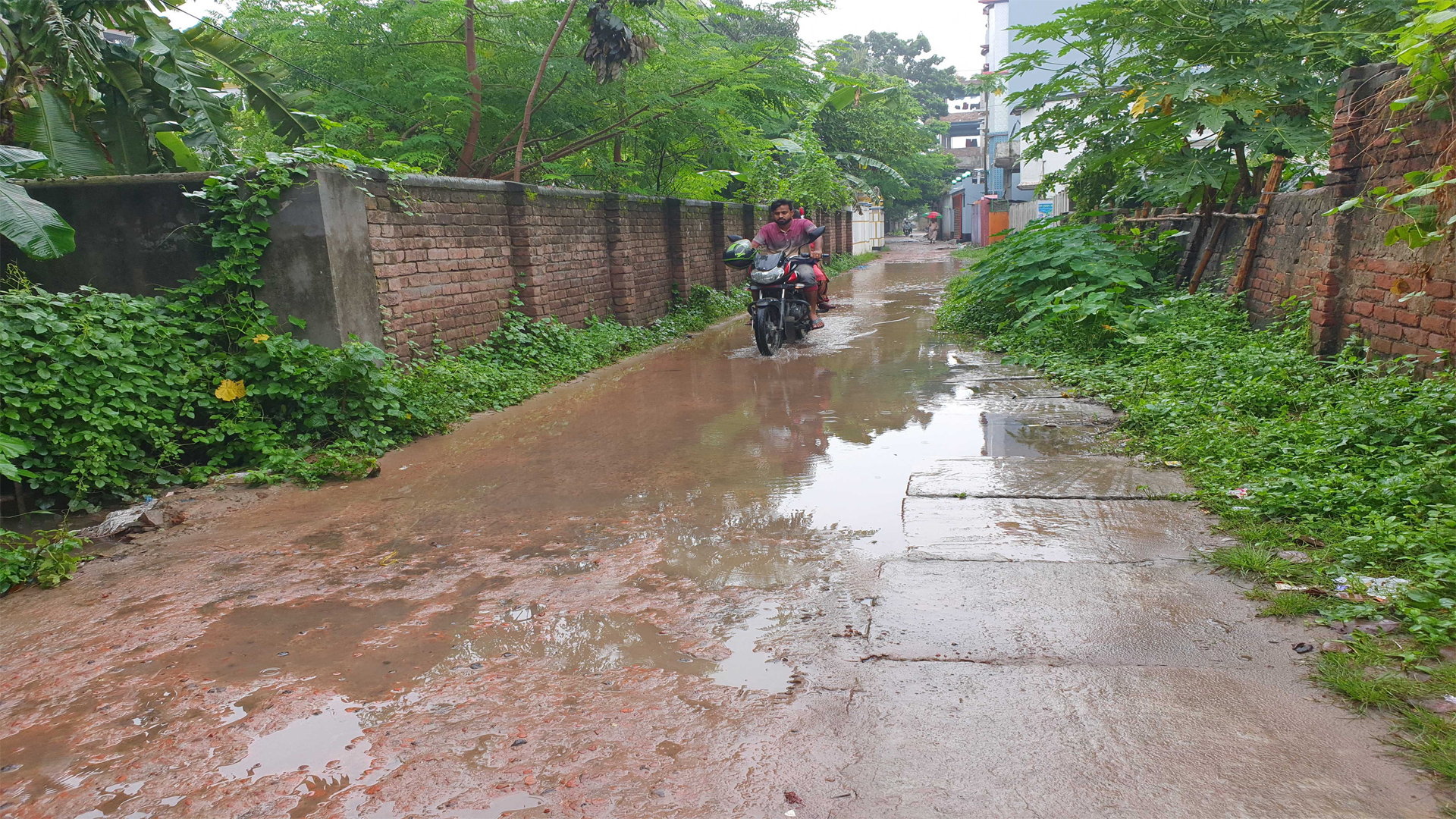 চুয়াডাঙ্গায় দুই দিনে ৫৮ মিলিমিটার বৃষ্টিপাত রেকর্ড