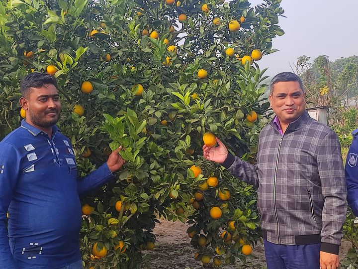 ইউয়লো কিং জাতের মাল্টা বাগান পরিদর্শন করলেন অতিরিক্ত ডিআইজি হাসানুজ্জামান