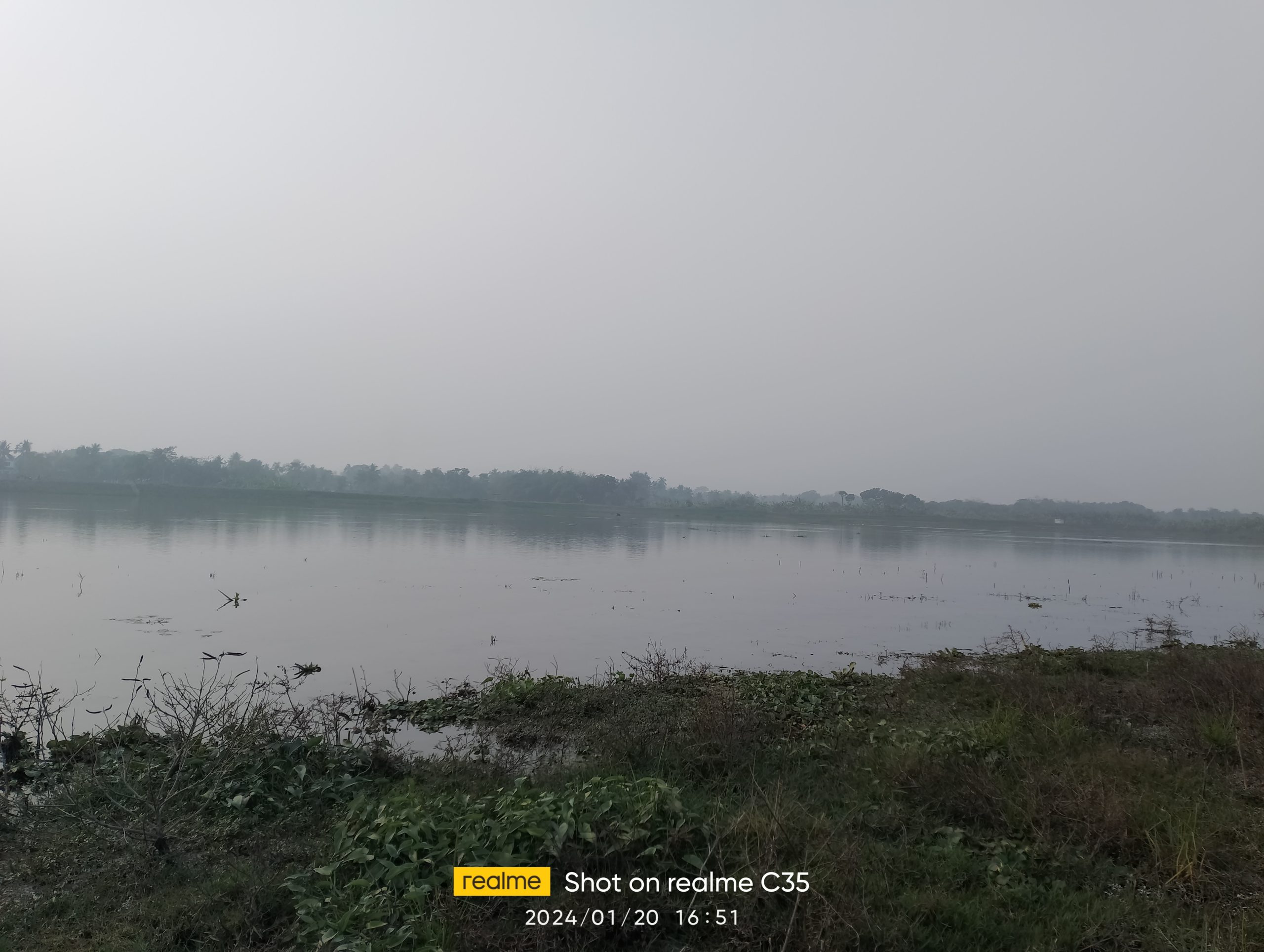চুয়াডাঙ্গায় দেখা মিলছে না অতিথি পাখির