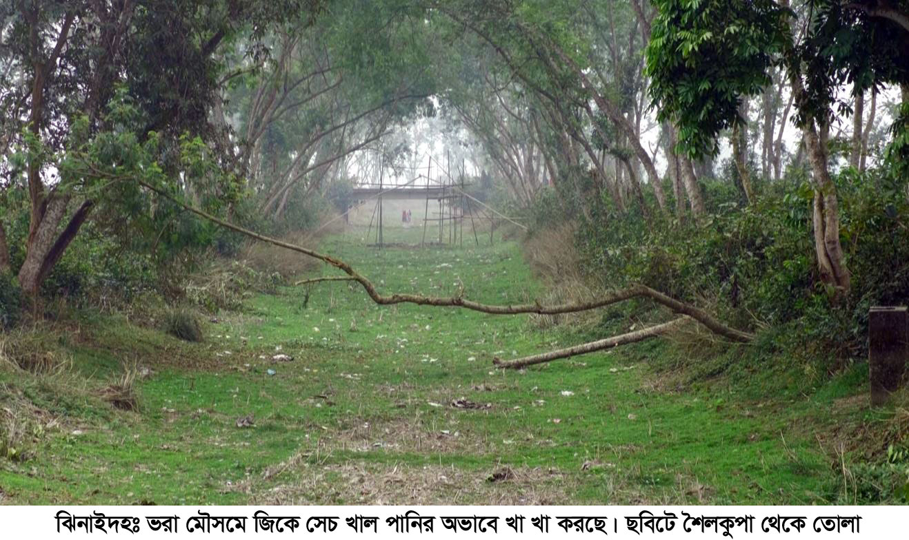 ঝিনাইদহে পাম্প নষ্টের অজুহাতে বোরো মৌসুমে পানি দিচ্ছে না জিকে সেচ প্রকল্প