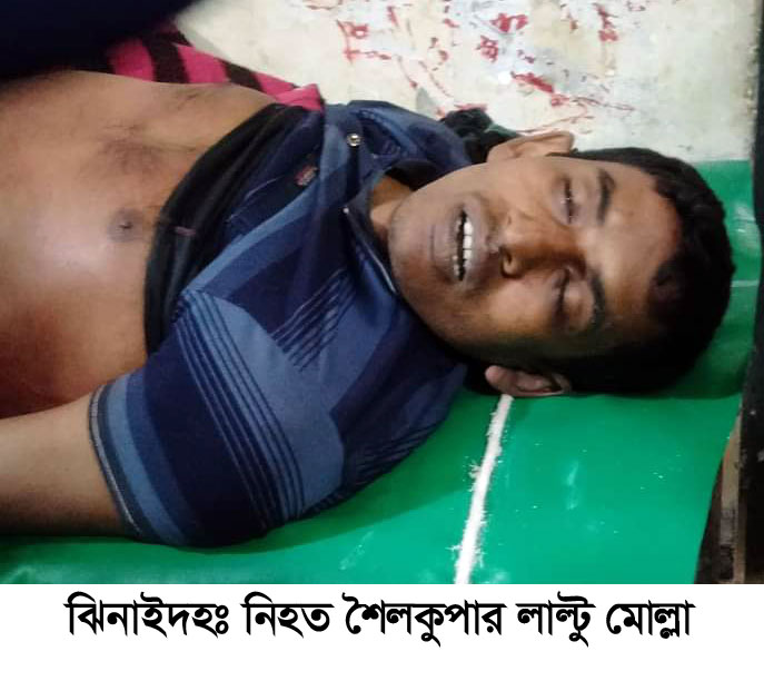 শৈলকুপায় মাকে ভাগিয়ে বিয়ে করায় চাচাকে হত্যা