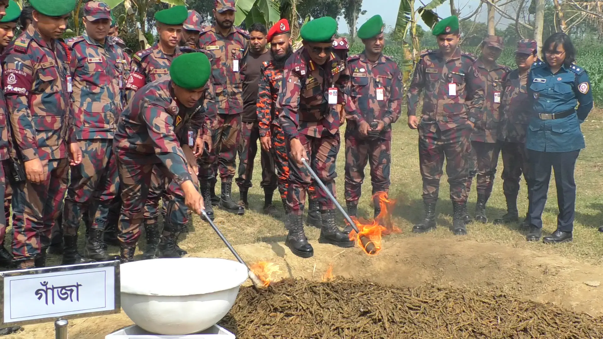 চুয়াডাঙ্গায় বিজিবির জব্দ করা প্রায় ৩ কোটি টাকার মাদকদ্রব্য ধ্বংস