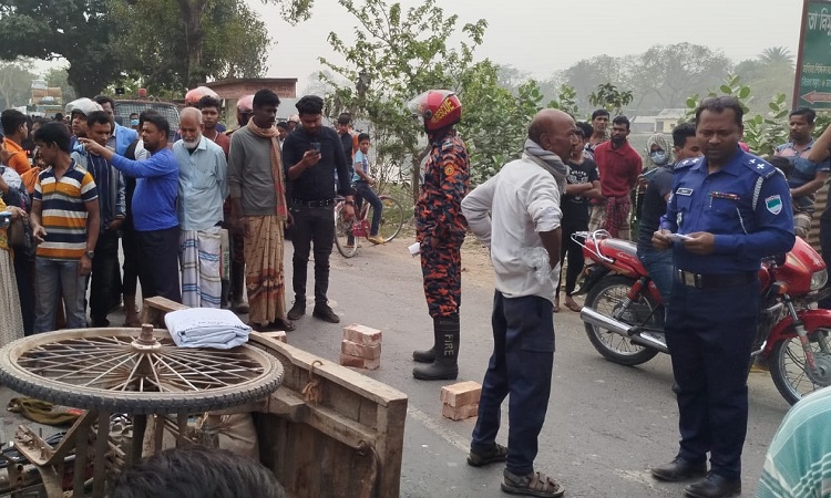 আলমডাঙ্গায় ট্রাকের চাকায় পিষ্ট হয়ে স্ত্রী নিহত; স্বামী-ছেলে আহত
