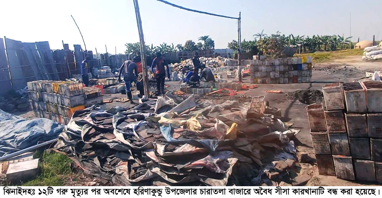 হরিণাকুণ্ডুতে ১২টি গরুর মৃত্যুর পর টনক নড়ল প্রশাসনের