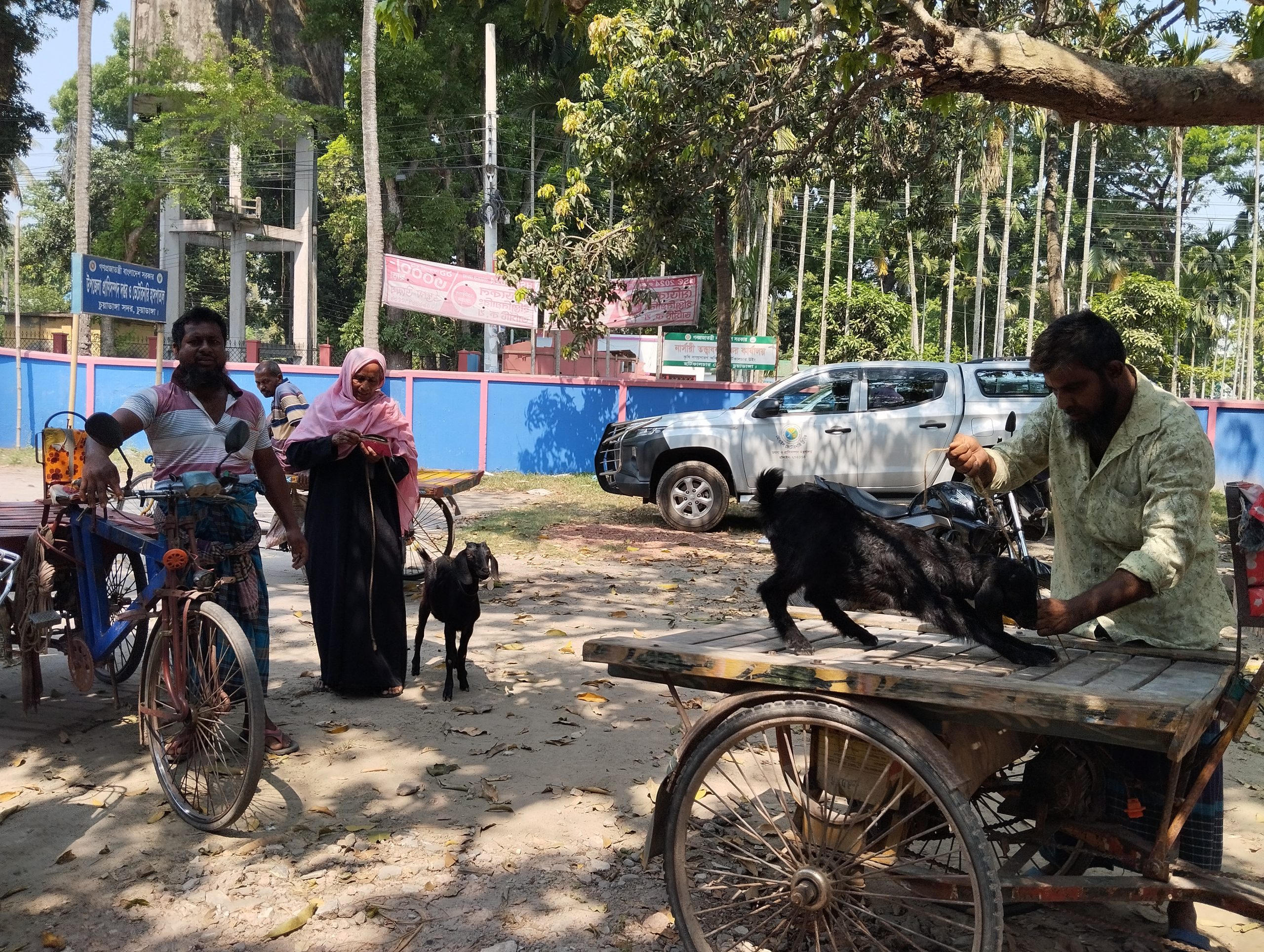 চুয়াডাঙ্গায় তাপপ্রবাহ সামান্য কমলেও ভ্যাপসা গরমে বেড়েছে অস্বস্তি