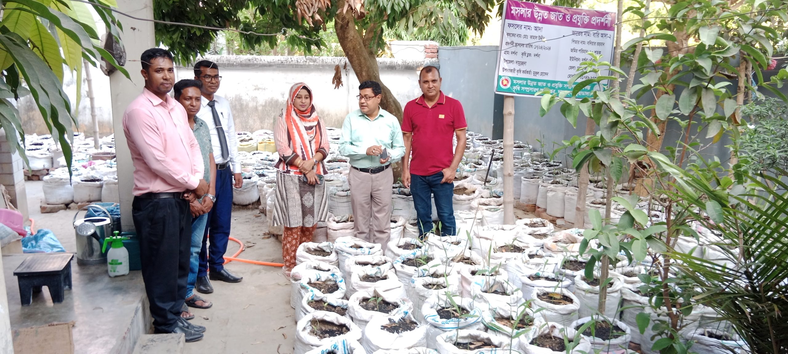 দর্শনায় আধুনিক পদ্ধতিতে আদা চাষ পরিদর্শনে জেলা কৃষি কর্মকর্তা