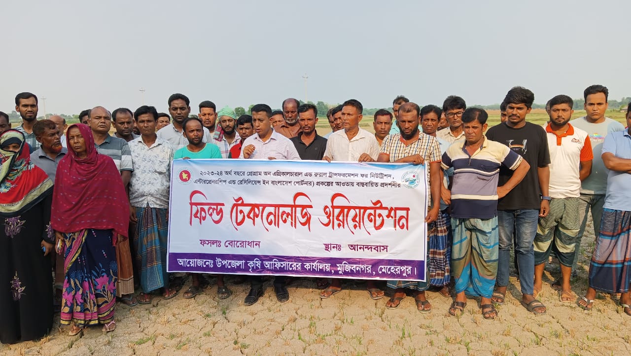 মুজিবনগর তেল জাতীয় ফসলের মাঠ দিবস অনুষ্ঠিত