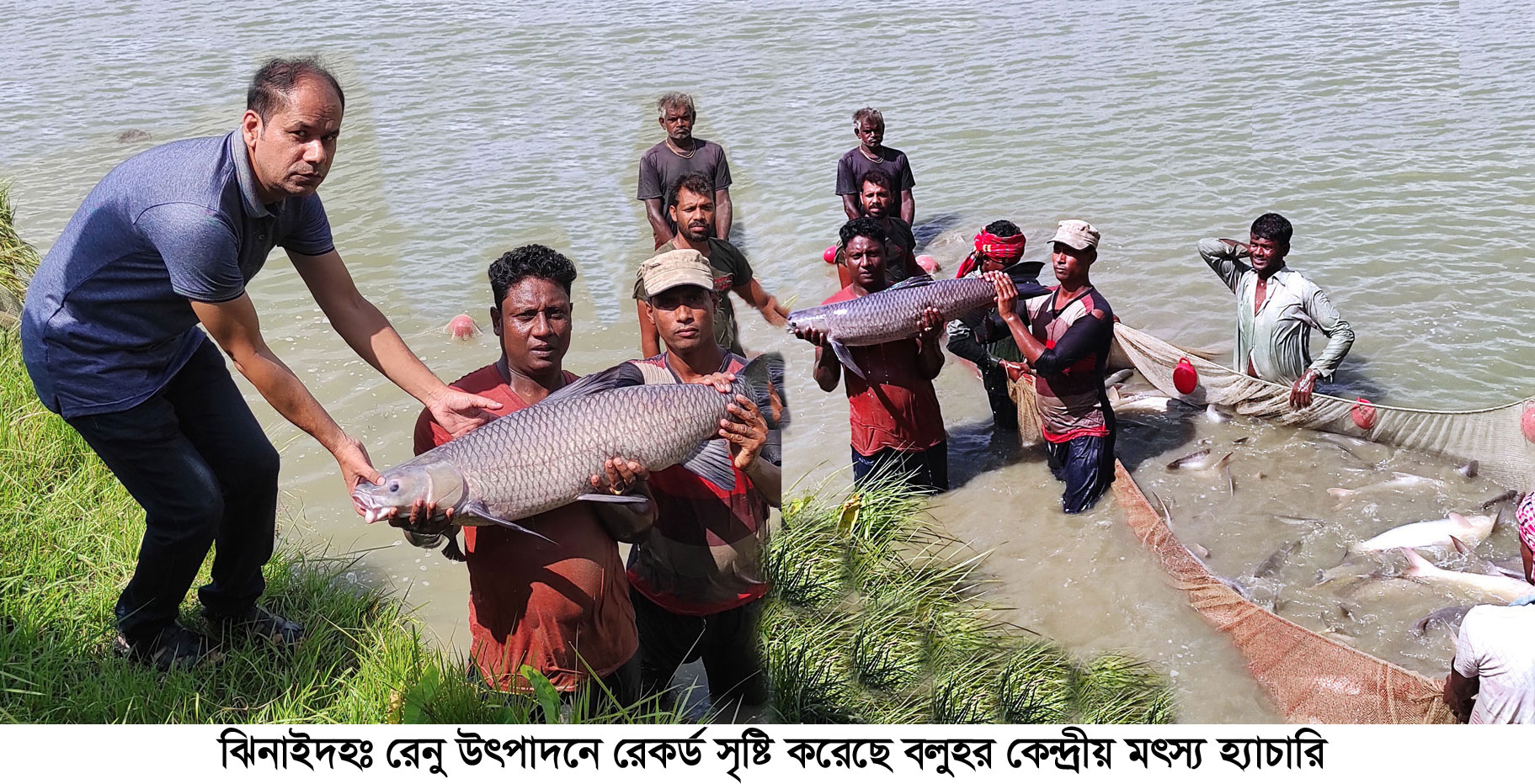 দেশের দক্ষিণাঞ্চলের রেনু উৎপাদনে সমৃদ্ধ ভান্ডার এখন বলুহর মৎস্য হ্যাচারি