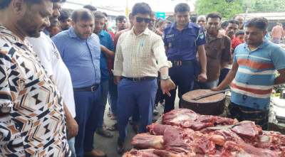 ডিঙ্গেদহে অসুস্থ গাভীর মাংস বিক্রি, ২ মণ মাংস ধ্বংস